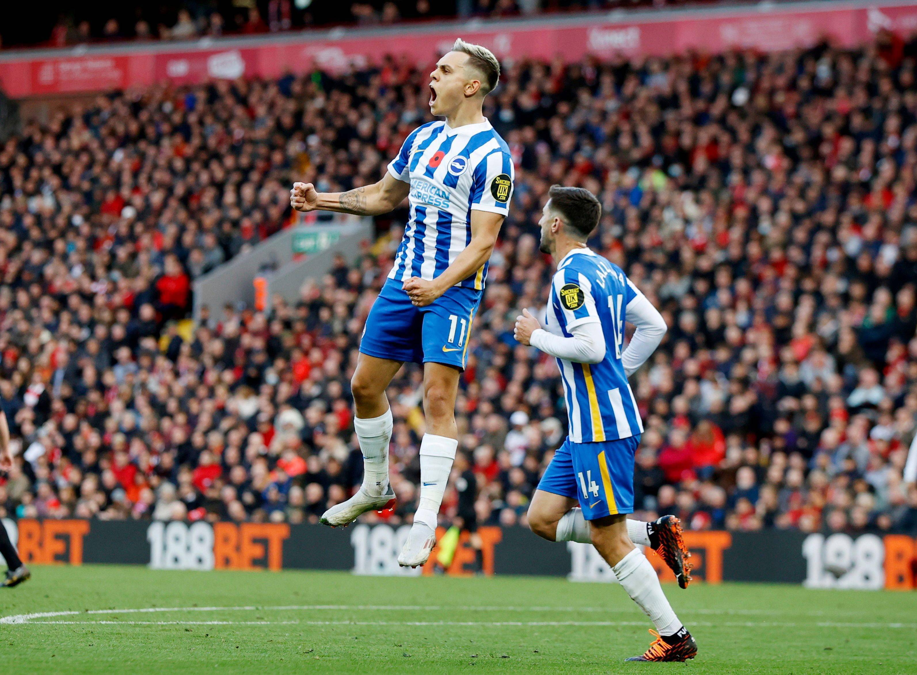 不仅是透明 不仅是透明